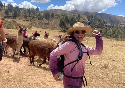 Guest running with alpaca herd.