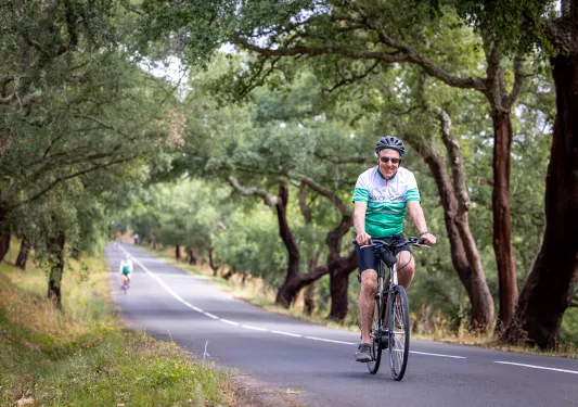 Biker riding along a tree lined road