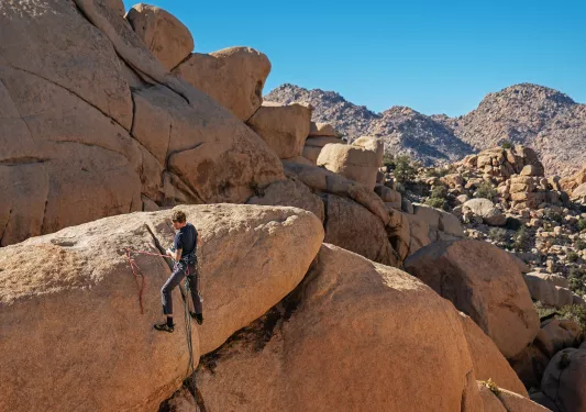 Guest rock climbing with desert vista behind them.