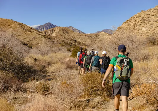 Group of guests hiking is desert, surrounded by bushes and hills.