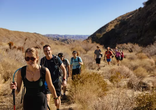 Group of guests hiking is desert, surrounded by bushes.