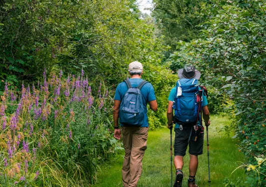 Two guests hiking down grassy path, lilac bushes to their left.