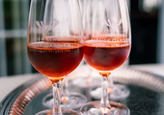 Shot of wine glasses, red wine inside.