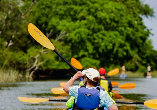 Rear shot of group of kayaking guests. Forest in front of them.