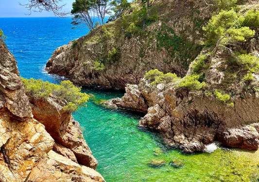 Blue green waters in a little cove