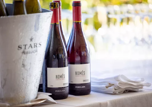 Bottles of red wine and empty wine glasses