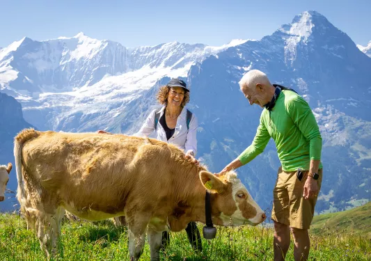 Two guests petting cow, mountain range in background.