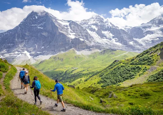 Four guests hiking on grassy road, Mount Eiger in background. 