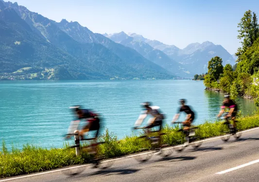 Four guests cycling quickly past blue lakefront, mountains.