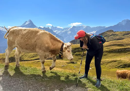 Guest talking to cow, mountain in background.