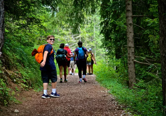 Group of guests hiking down forested trail, one looking back to camera.