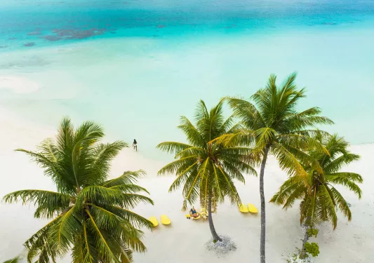 Palm trees and white sand beaches in Tahiti