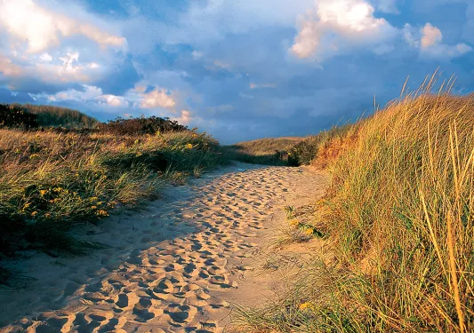 A sandy path between sand dunes with blue skies and clouds
