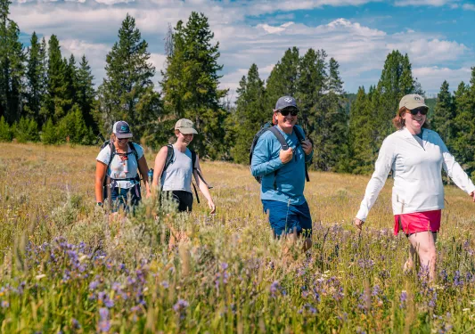 Backroads guests hiking through fields of lavender