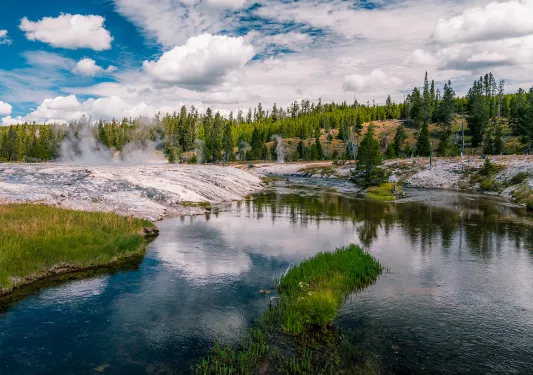 A pond and hot springs