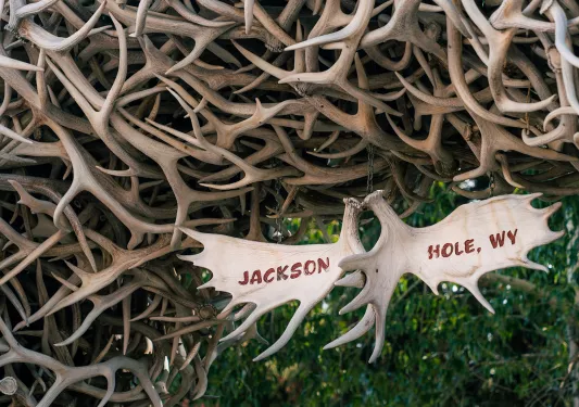 Antler Sign displaying Jackson Hole Wyoming 