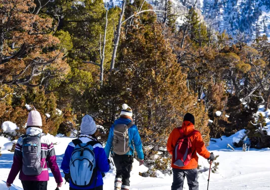 Backroads guests cross country skiing downhill