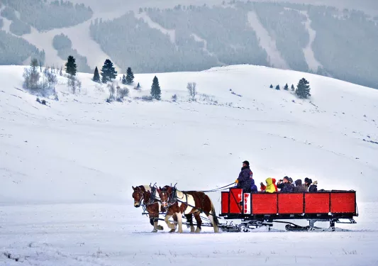 Backroads guests being transported across snowy landscape by horses