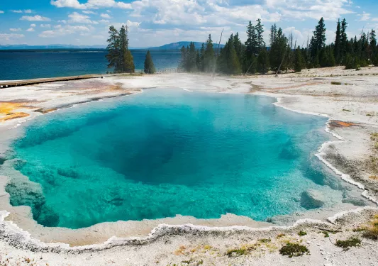 Turquoise hot spring and surrounding pine trees