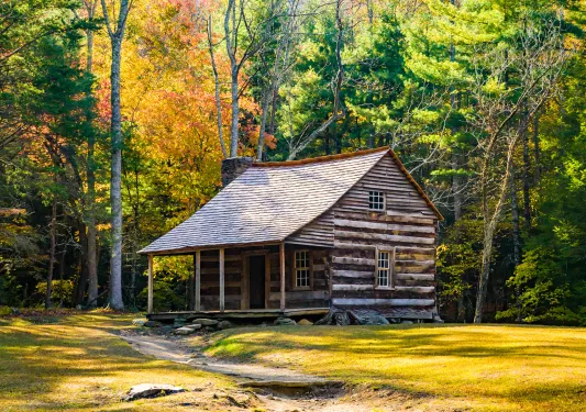Shot of log house surrounded by forest.