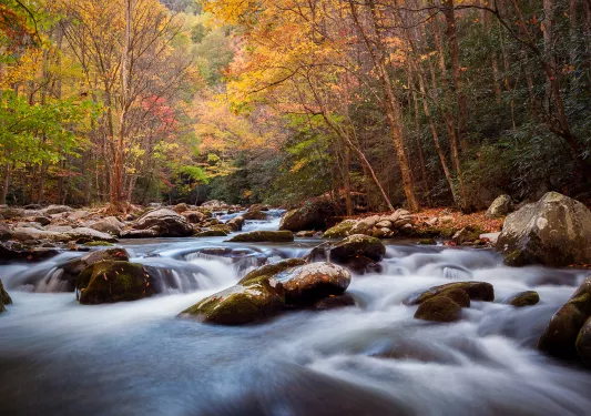 Wide shot of flowing river among autumnal forest.