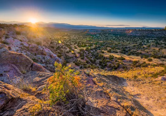 New Mexican desert during sunrise