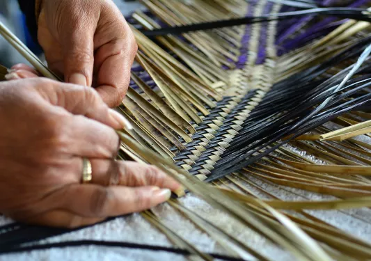 Weaving grasses in New Zealand