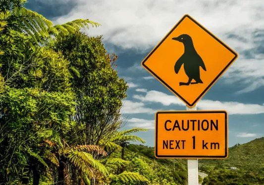 Penguin crossing sign in New Zealand