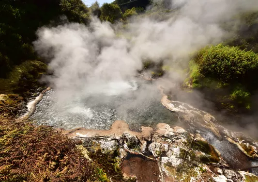 Steaming geothermal activity in Te Manaroa, New Zealand