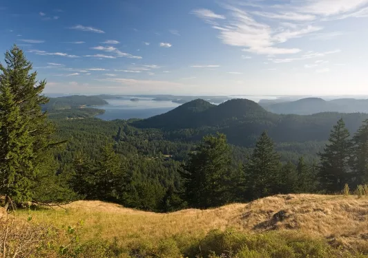Point of view shot of hilly, forested vista, rivers, ocean in distance.