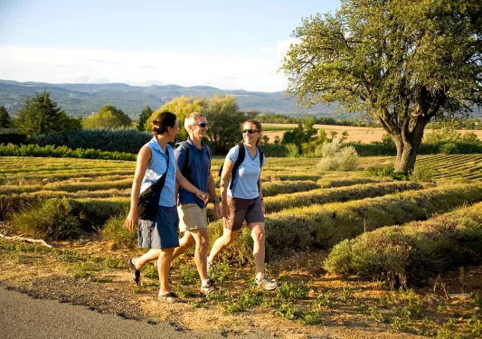 Three Backroads Guests Walking and Talking