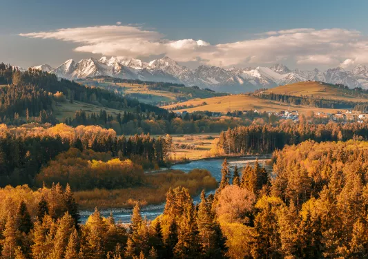 Forested path with small huts in the foreground and Dolomites in the horizon.