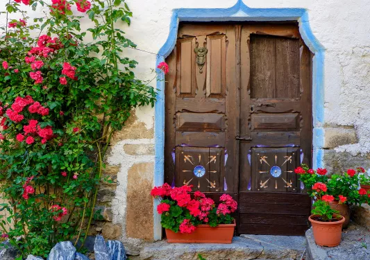 Shot of old housefront, red flowers, wooden door.