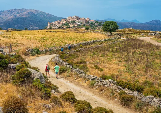 Four guests walking towards city in the distance. Golden fields, rocky walls.