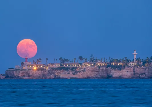 Exterior view of Minareto at night