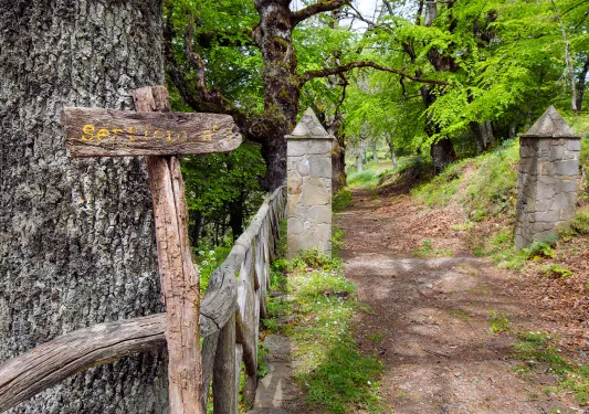 Shot of forest trail, fence, signage, two stone pylons.