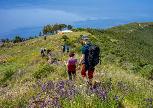 Guests walking down grassy hill, towards ocean, house.