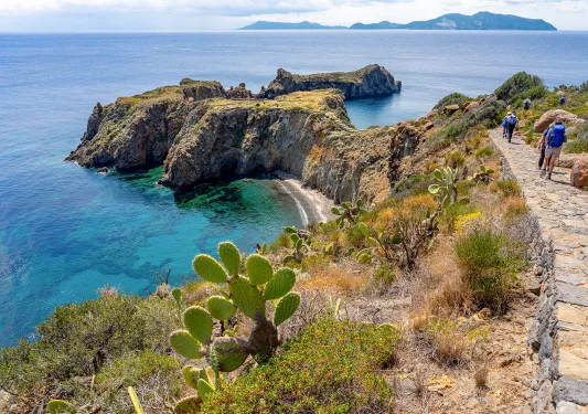 Guest walking past cacti, ocean cliffs, blue water.