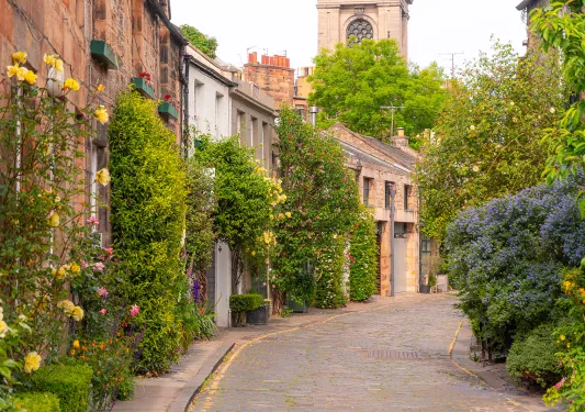 cobblestone street lined with flowers and shrubs