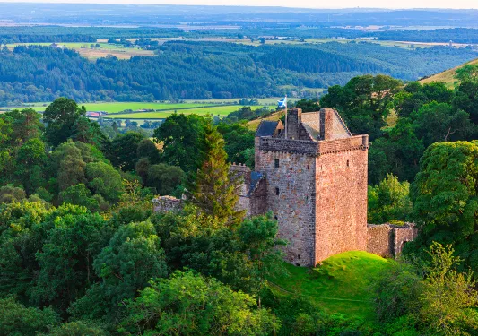 brick castle surrounded by forest