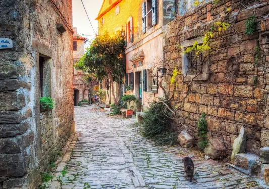 Cat running down European cobblestone alleyway.