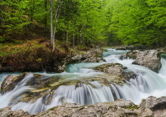 Rushing waterfalls in forest.