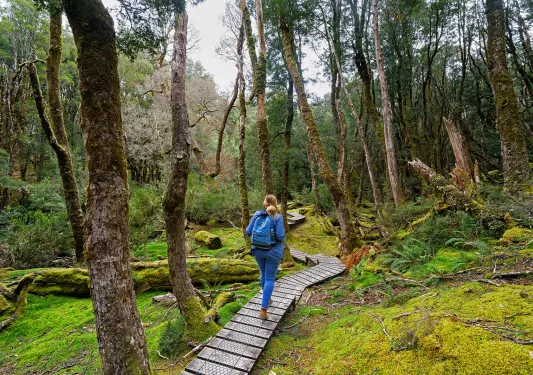 Hiker on trail in Cradle Mountain National Park, Tasmania, Australia.