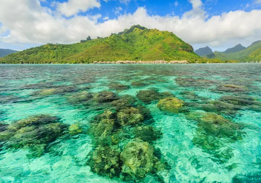 Crystal clear waters in Tahiti