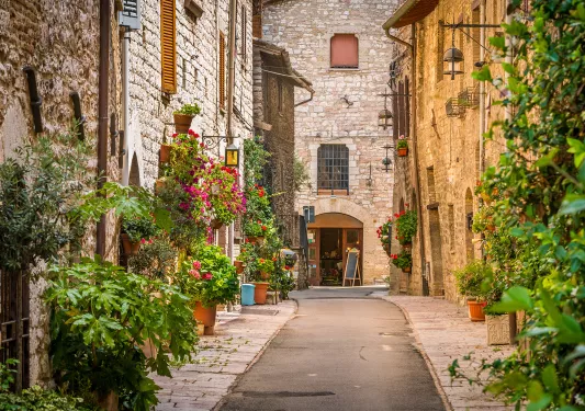 Small Italian road, storefronts and vining plants on either side.