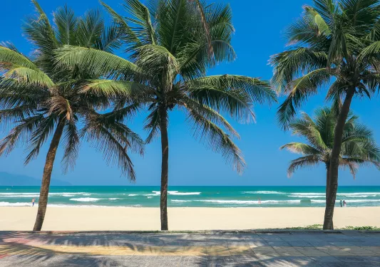 White sand beach, palm trees, blue skies and ocean.