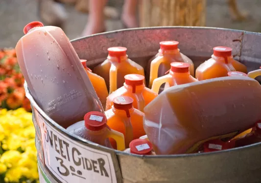 Shot of sweet apple cider cartons.