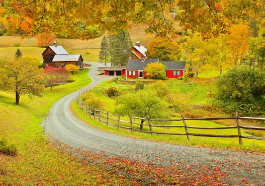 Shot of road leading to red farm/farmhouse, fall colors and trees.