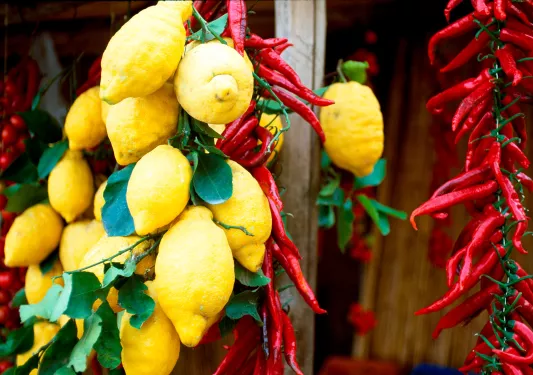 Shot of hanging lemons, drying chili peppers.