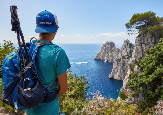 Leader overlooking coast, craggy sea stacks in distance.
